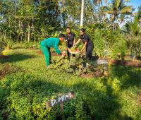 Villa Nag Shampa, Fresh from the Villa Garden